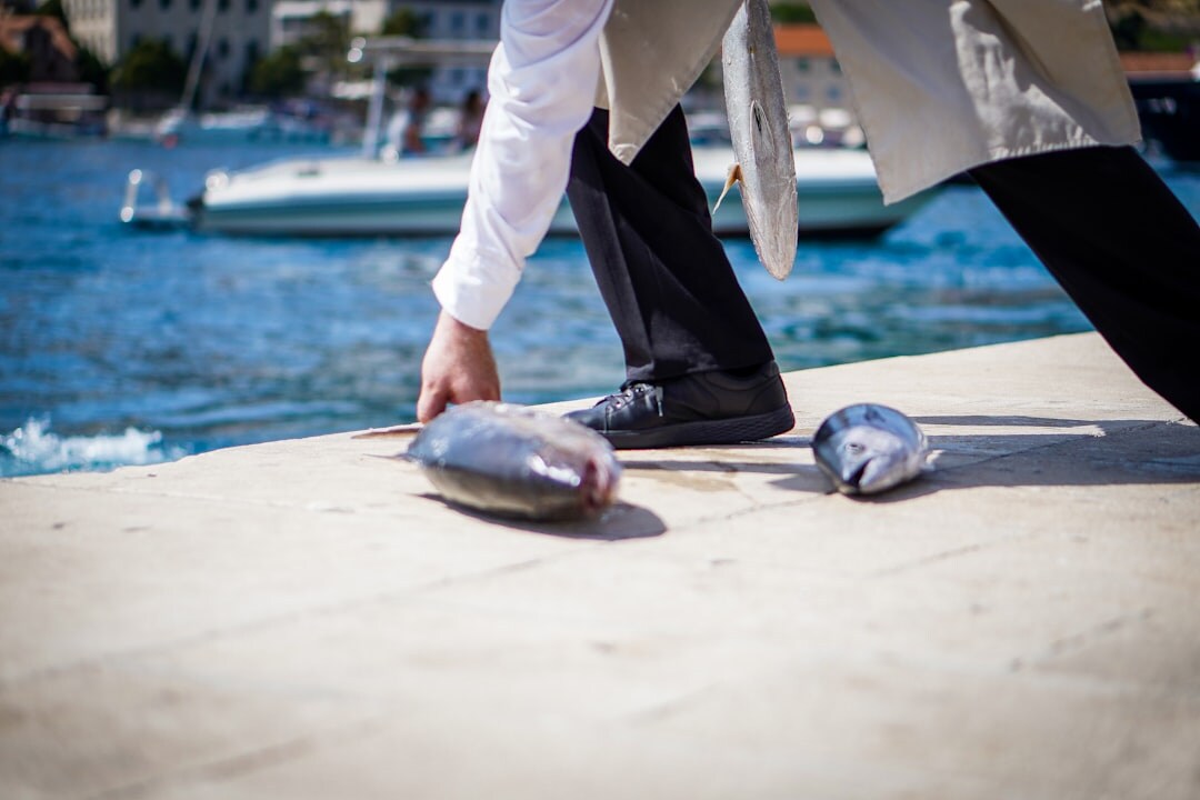 wealthy croatian businessman in suit
